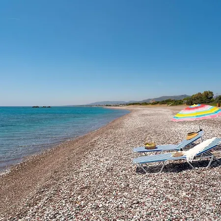 Tselios & *